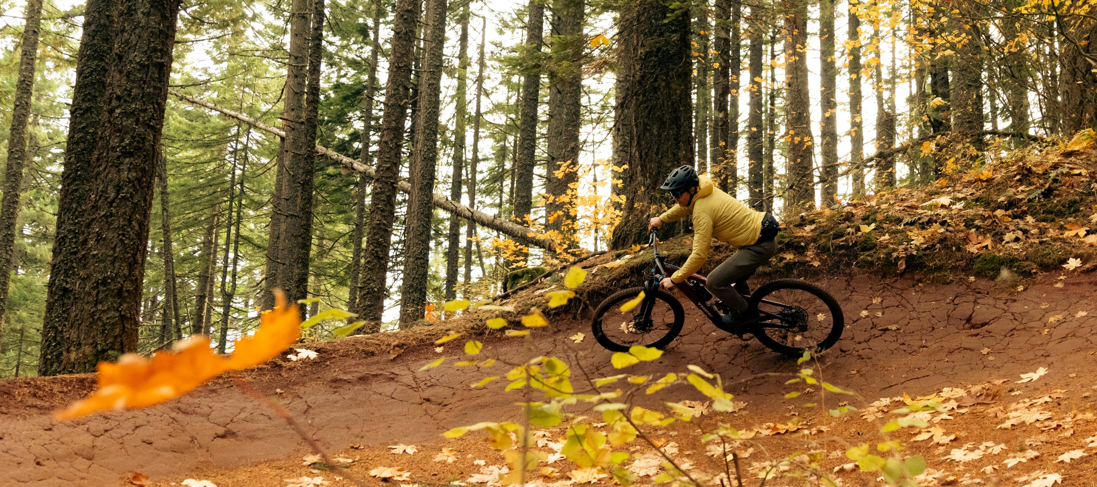 Ride Better with MTB Direct